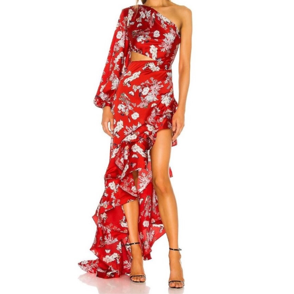 Bronx and Banco NWT Tokio Floral Maxi Dress Gown in Red size Large/8 Revolve